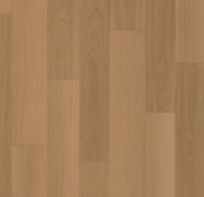 71816 718162 red cherry